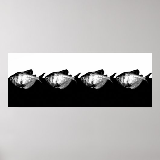 Tetra School Poster (Vorne)