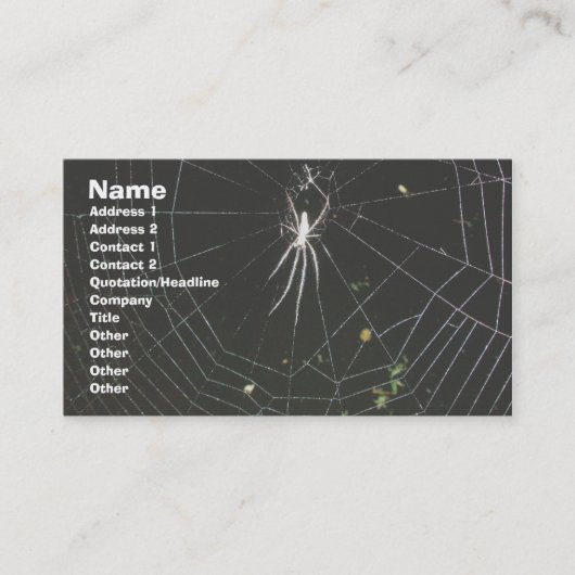 Tetracnathid Orb Weaver Spider Business Card Visitenkarte (Vorderseite)