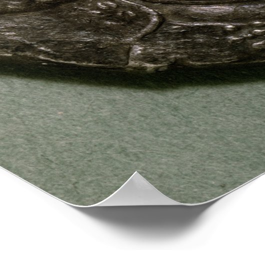 Tetradrachma Seleucus I König von Syrien Poster (Ecke)