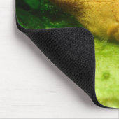 Tetraodon miurus mousepad (Ecke)