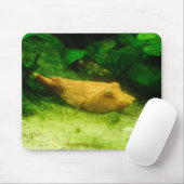 Tetraodon miurus mousepad (Mit Mouse)