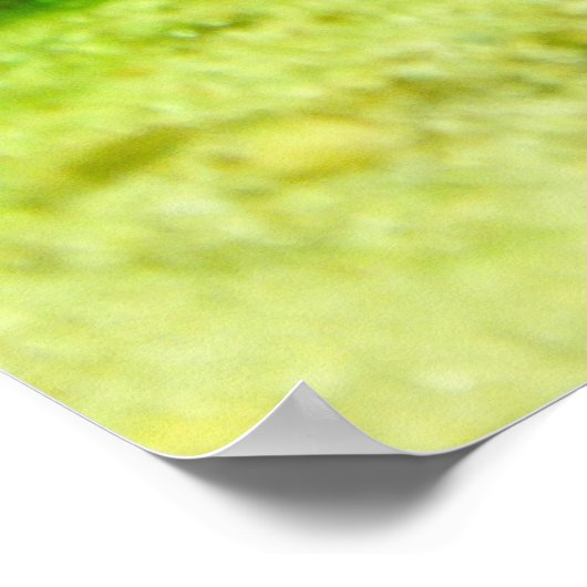 Tetraodon miurus poster (Ecke)