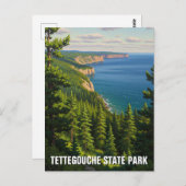 Tettegouche Staat Park Minnesota Postkarte (Vorne/Hinten)