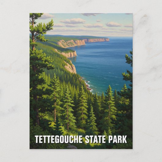 Tettegouche Staat Park Minnesota Postkarte (Vorderseite)