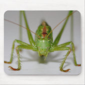 Tettigonia viridissima mousepad (Vorne)