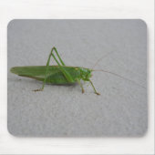 Tettigonia viridissima mousepad (Vorne)