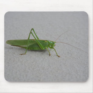 Tettigonia viridissima mousepad