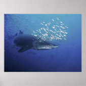 Teufel mit Halo Poster (Vorne)