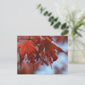 Teufel und Engel Postkarte (Stehend Vorderseite)