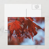 Teufel und Engel Postkarte (Vorne/Hinten)