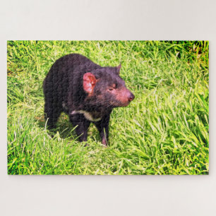 Teufel von Tasmanien Puzzle