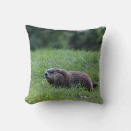 Teufel's Hole Digger Kissen