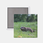 Teufel's Hole Digger Magnet (Vorderseite/Rückseite)