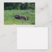 Teufel's Hole Digger Mitteilungskarte (Vorne/Hinten)