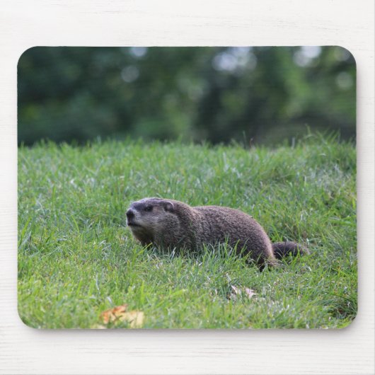 Teufel's Hole Digger Mousepad (Vorne)