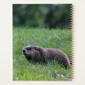 Teufel's Hole Digger Planer (Rückseite)