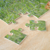Teufel's Hole Digger Puzzle (Seite)