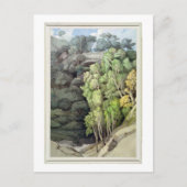 Teufelsbrücke, 1810 (mit Kugelschreiber und Tinte Postkarte (Vorderseite)