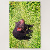 Teufelsgras Puzzle (Vertikal)