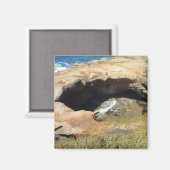 Teufelskreis, Oregon-Küste Magnet (Vorderseite/Rückseite)