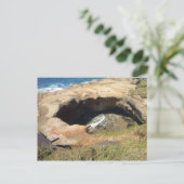 Teufelskreis, Oregon-Küste Postkarte (Stehend Vorderseite)