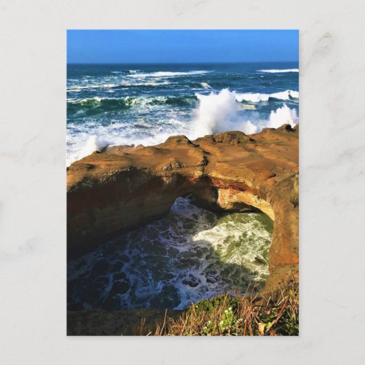 Teufelskugel, Newport, Oregon Postkarte (Vorderseite)