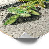 Teufelspinsel Poster (Ecke)