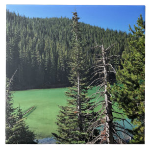 Teufelssee, OR Fliese