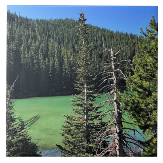 Teufelssee, OR Fliese (Vorderseite)