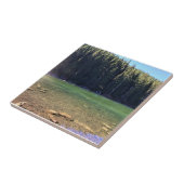 Teufelssee, OR Fliese (Seite)