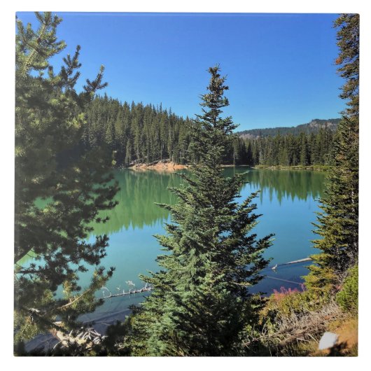 Teufelssee, OR Fliese (Vorderseite)