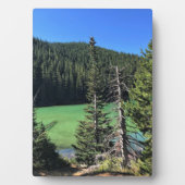 Teufelssee, OR Fotoplatte (Vorderseite)