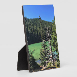 Teufelssee, OR Fotoplatte