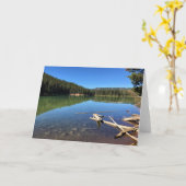 Teufelssee, Oregon Karte (Gelbe Blume)