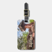 Teufelstisch Hinterweidenthal Pfalz Deutschland Ge Gepäckanhänger (Vorderseite vertikal)