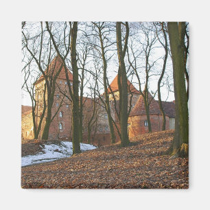 Teutonische Ordensburg Neidenburg - Magnet