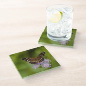 Texan Crescent Schmetterling Glasuntersetzer (Schrägansicht)