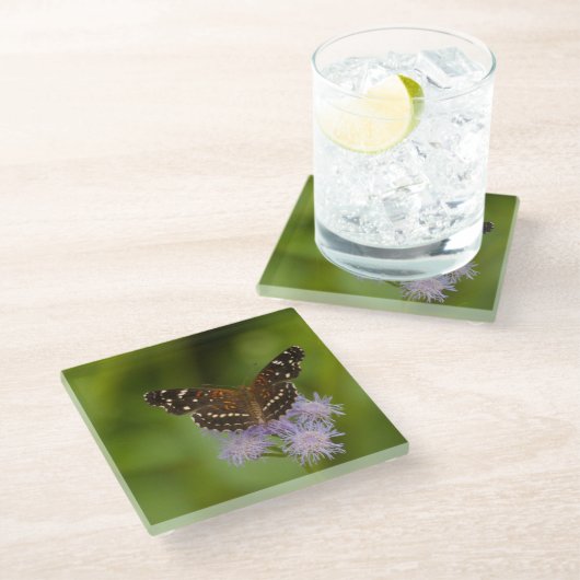 Texan Crescent Schmetterling Glasuntersetzer (Schrägansicht)