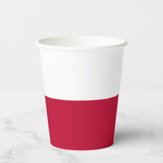 Texan Flag, Flag of Texas Pappbecher (Rückseite)