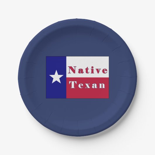 Texan Lone Star Flag Pappteller (Vorderseite)