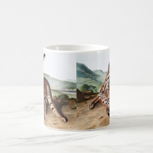 Texan Lynx (Lynx Rufus var maculatus) Illustration Kaffeetasse (Mittel)