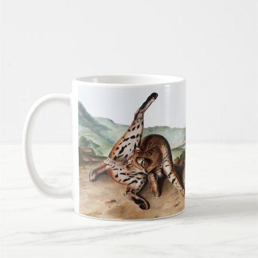 Texan Lynx (Lynx Rufus var maculatus) Illustration Kaffeetasse (Links)