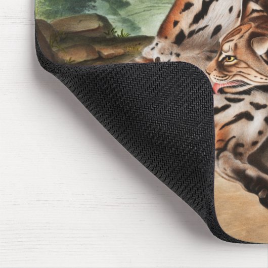 Texan Lynx (Lynx Rufus var maculatus) Illustration Mousepad (Ecke)