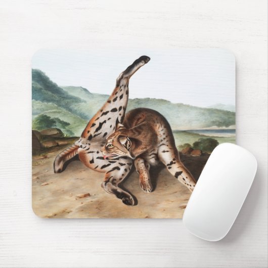 Texan Lynx (Lynx Rufus var maculatus) Illustration Mousepad (Mit Mouse)
