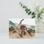 Texan Lynx (Lynx Rufus var maculatus) Illustration Postkarte (Stehend Vorderseite)