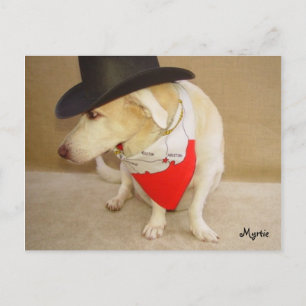 Texan Myrtie Postcard Postkarte