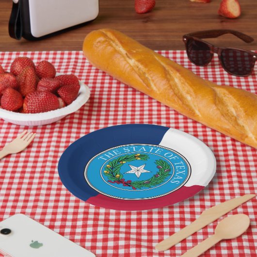 Texanische Flagge & Siegel, Texas Pappteller (Picknick)