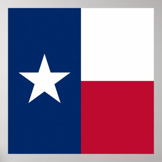 Texanische Staatsflagge (Texas) Poster (Vorne)