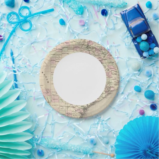 Texas 12 pappteller (Party)