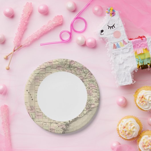 Texas 12 pappteller (Party)